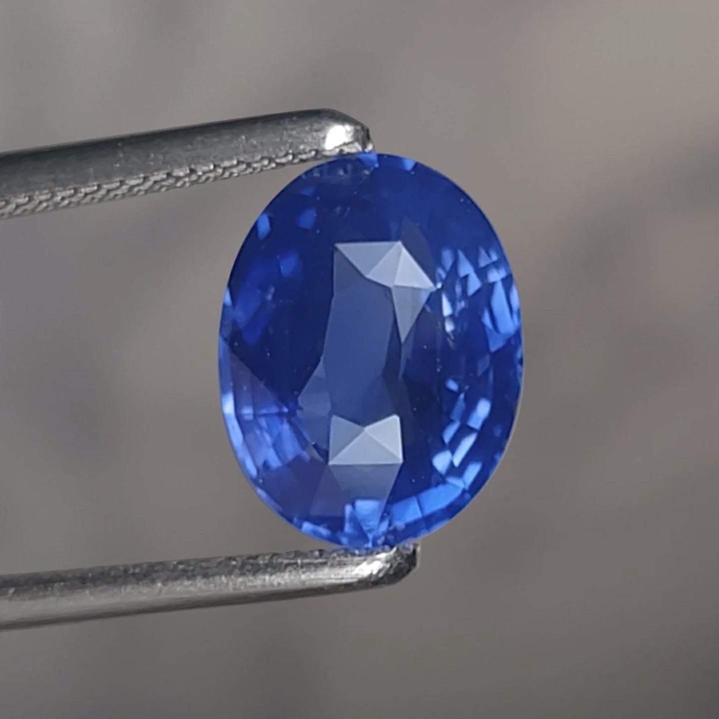 スリランカ産非加熱コーンフラワーブルーサファイア1.53ct<br>(GRS宝石鑑別書付))