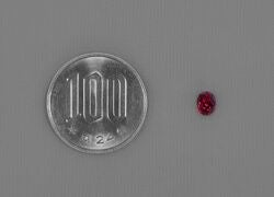 ミャンマー産非加熱ピジョンブラッドルビー0.72ct(GRS宝石鑑別書付)