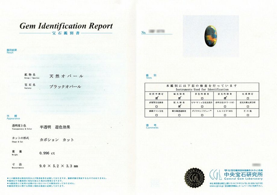 中央宝石研究所宝石鑑別書